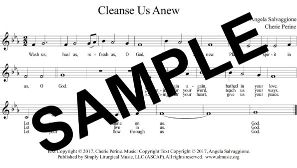 cleanseusanewAssembly sample