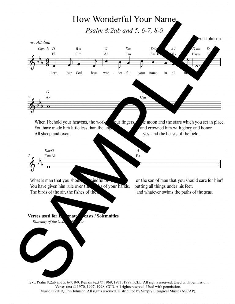 Psalm 8 - How Wonderful Your Name (Johnson) Sample Lead Sheet_1